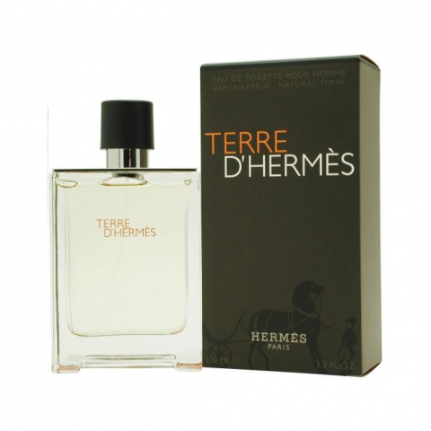 Hermes Terre D'Hermes perfume for him 100ml edt